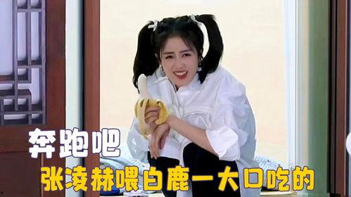 娱乐吃瓜直播白鹿,娱乐界新热点 第1张 娱乐吃瓜直播白鹿,娱乐界新热点 第1张